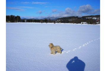 Čekija Penzión Horní Planá, Eksterjeras